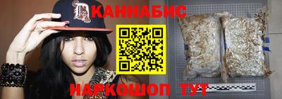 индика Малгобек