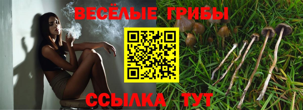 Псилоцибиновые грибы ЛСД  Вход с VPN  Ульяновск  как найти закладки  Псилоцибиновые грибы мицелий 